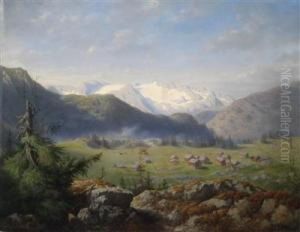 Wildensee Alm Mit Blick Auf Den Dachstein