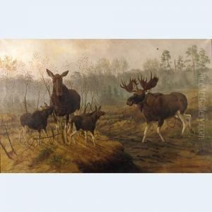 Moose Family In A Landscape
