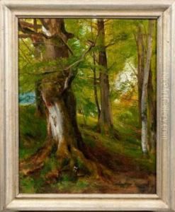 Fruhling Im Buchenwald by Ludwig Von Langenmantel