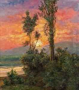 Sonnenuntergang An Der Donau