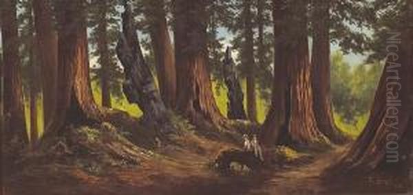 Figures In The Redwoods - view 1
