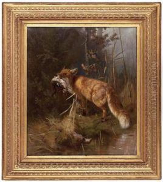 Fuchs Mit Beute In Waldlichtung - view 1