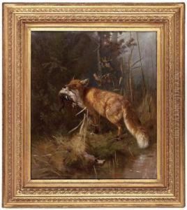 Fuchs Mit Beute In Waldlichtung by Guido Von Maffei