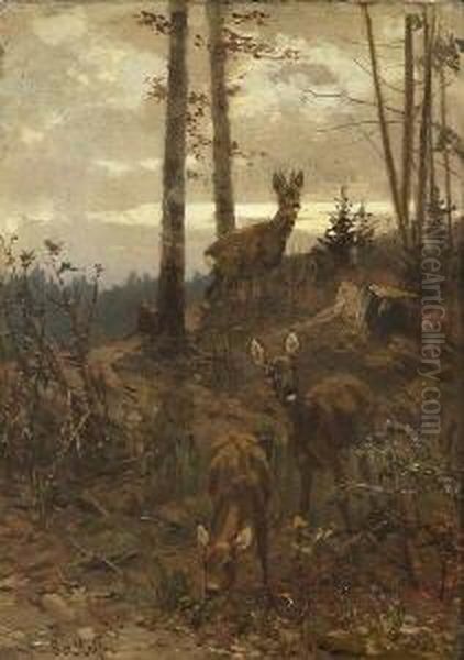 Rehe Am Waldrand - view 1