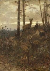 Rehe Am Waldrand by Guido Von Maffei