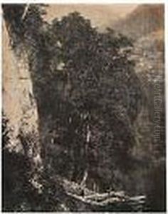 Arbres (suisse) thumbnail