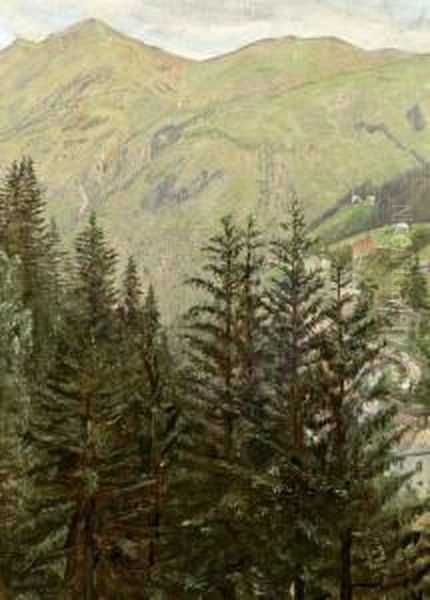 Gastein - view 1
