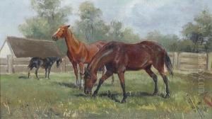 Black, Bay And Light Bay Horses In A Paddock