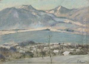 Blick Auf Den Tegernsee Im Winter.