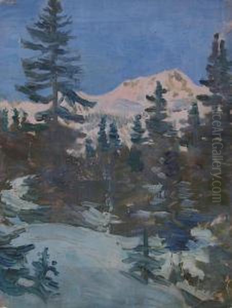 Winterliche Gebirgslandschaft - view 1