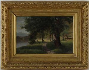Paysage Lacustre Paysage Lacustre