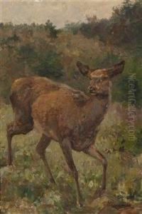 Red Deer by Franz Xavier Von Pausinger