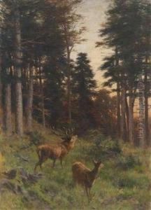 Red Deer At Twilight