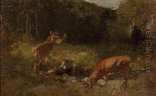 Rehe In Waldlichtung - view 1