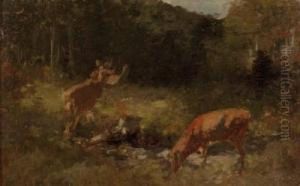 Rehe In Waldlichtung by Franz Xavier Von Pausinger