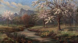 Salzburg - Fruhlingslandschaft Mit Bach Und Untersberg