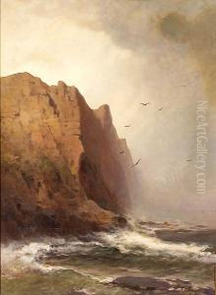 Cliffs And Stormy Seas - view 1