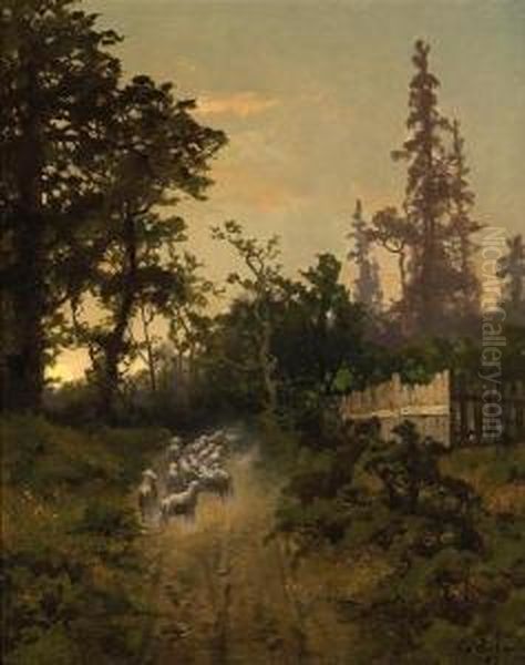 A Herd Of Sheep On A Country Path - view 1
