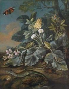 Meadow Flowers, Mushrooms, Insects, Lizards, And Snails On A Forest Ground