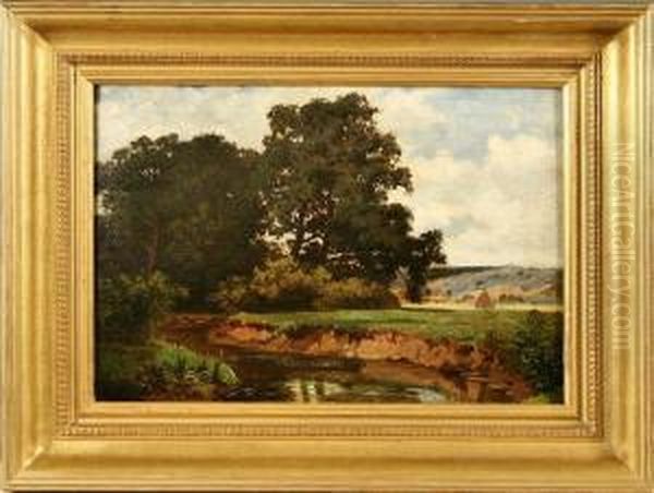 Fluslandschaft Mit Hohen Baumen - view 1