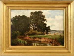 Fluslandschaft Mit Hohen Baumen