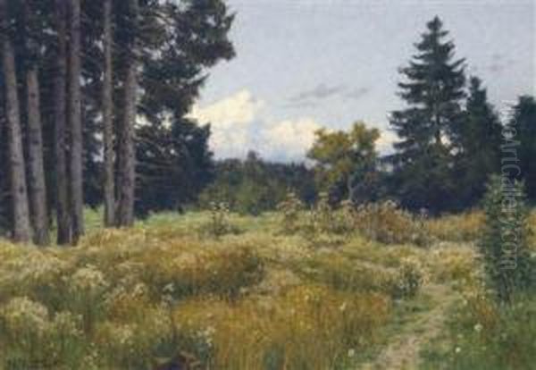 Golden Clouds - view 1