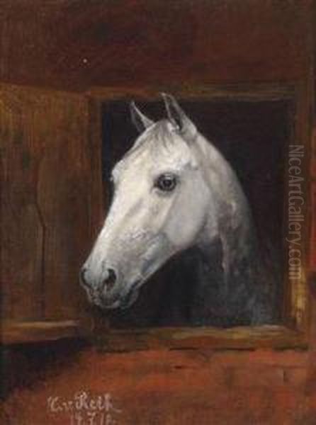 Portrait Of A Grey - view 1
