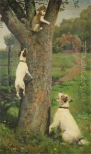 Cat In A Tree Cornered By Dogs