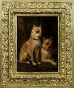 Portrait Zweierhunde