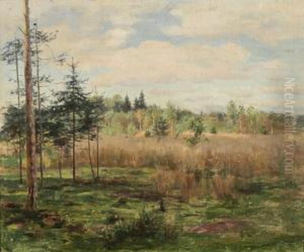 Landschaft In Ostpreusen - view 1