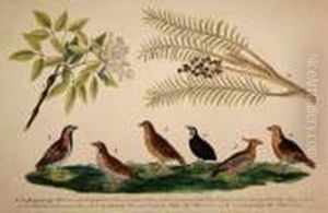 Selectiuon Of Exotic And Domestic Birds And Flora by Franz Anton von Scheidel