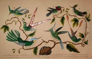 Selection Of Exotic by Franz Anton von Scheidel