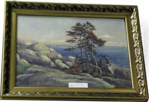 Tallar Pa Klipphall. by Bo Von Schwerin