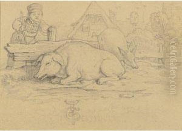 Pigs In A Farmyard - view 1