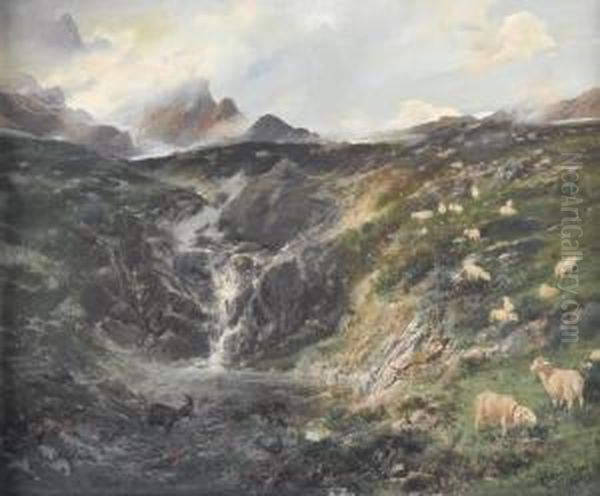 Hochgebirgspartie Mit Schafen Und Ziegen - view 1