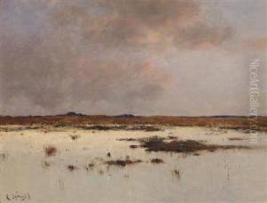 River Landscape In The Evening Light