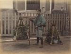 Flower Gardner, Japon by Raimund, Baron Von Stillfried Und Rathenitz