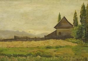 Kornfeld Mit Holzhaus