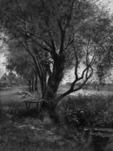 Gansemagd Unter Alten Weiden Am Bach