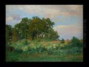 Sommerliche Baumlandschaft by Stephanie Von Strechine