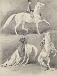 Equitation ; Dressage