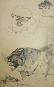 A Sketchbookcontaining Numerous Drawings In Pencil Of Animals by Siegmund Von Suchodolski