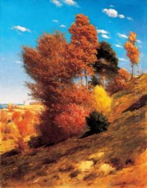 Autumn - view 1