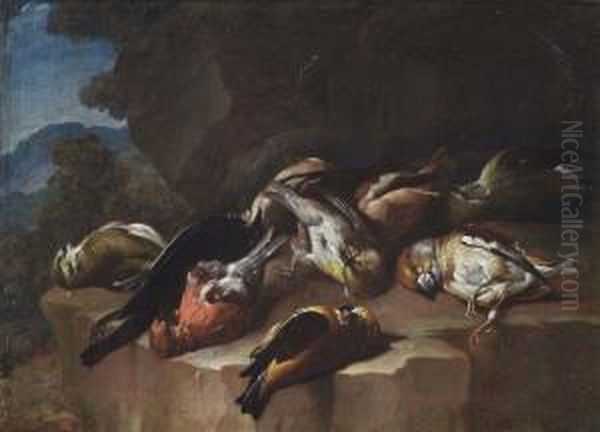 A Dead Jackdaw, A Scarlet Rosefinch - view 1