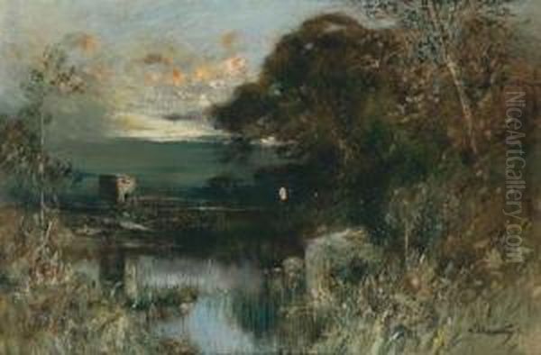 Abendliche Moorlandschaft Mit Einemruinosen Bauwerk - view 1