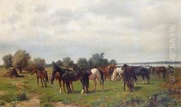 Horses In A Meadow - view 1