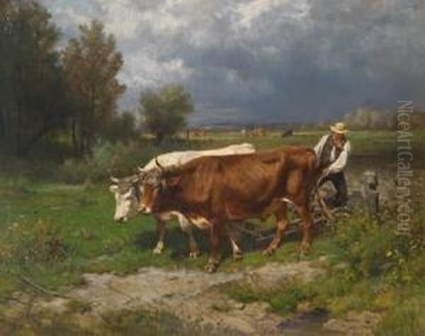 Am Feld - view 1