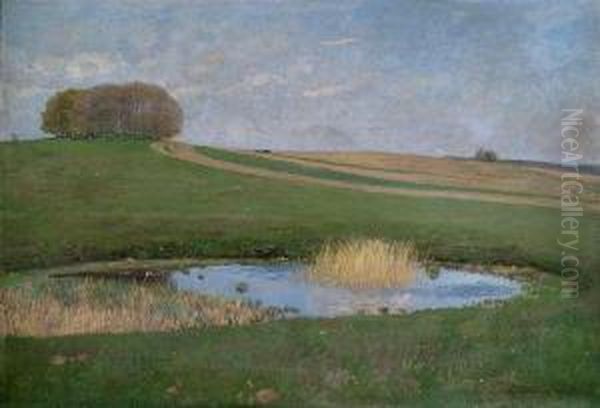 Summery Landscape With A Tarn. - view 1