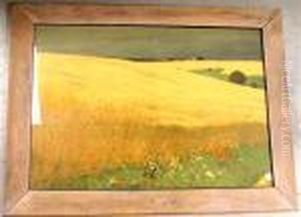 Fields With
Flowers - view 1