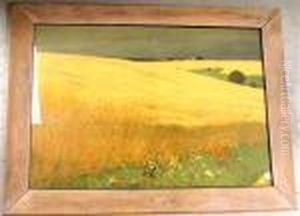 Fields With
Flowers by Hans Richard Von Volkmann